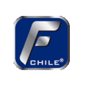 ferrochiletrader.cl